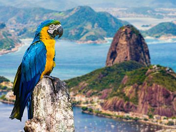 Zdjęcie kierunku: Rio De Janeiro